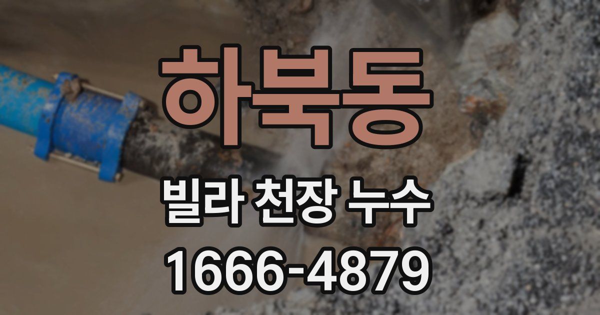 하북동 빌라 천장 누수