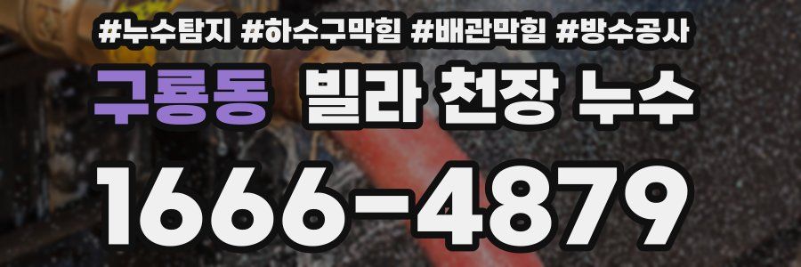 구룡동 빌라 천장 누수
