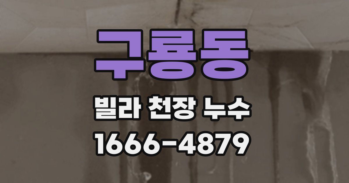 구룡동 빌라 천장 누수
