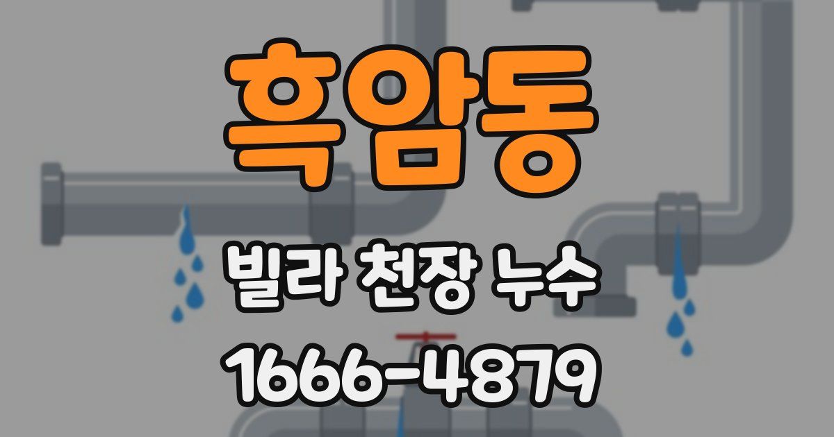 흑암동 빌라 천장 누수