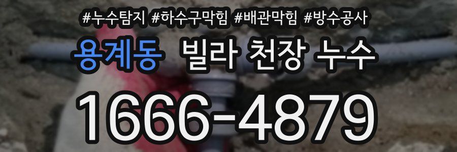 용계동 빌라 천장 누수