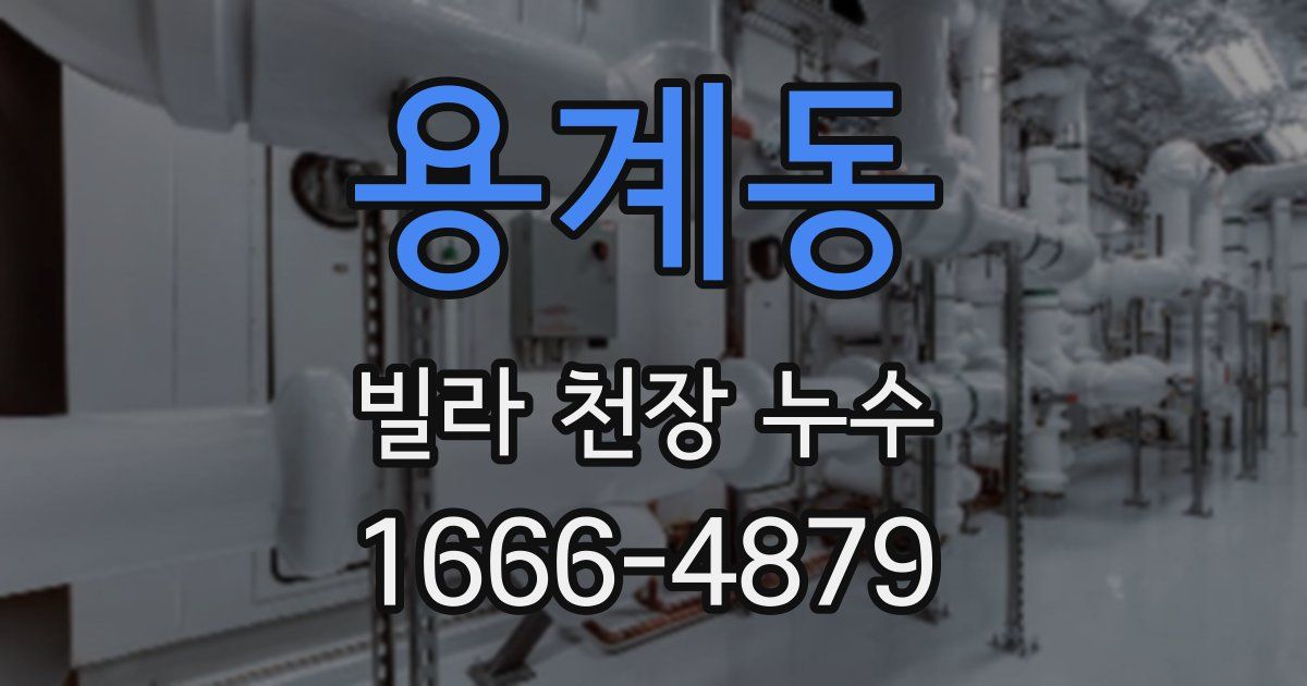 용계동 빌라 천장 누수