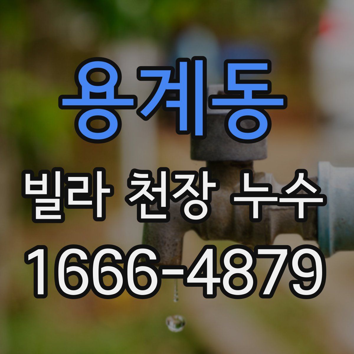 용계동 빌라 천장 누수