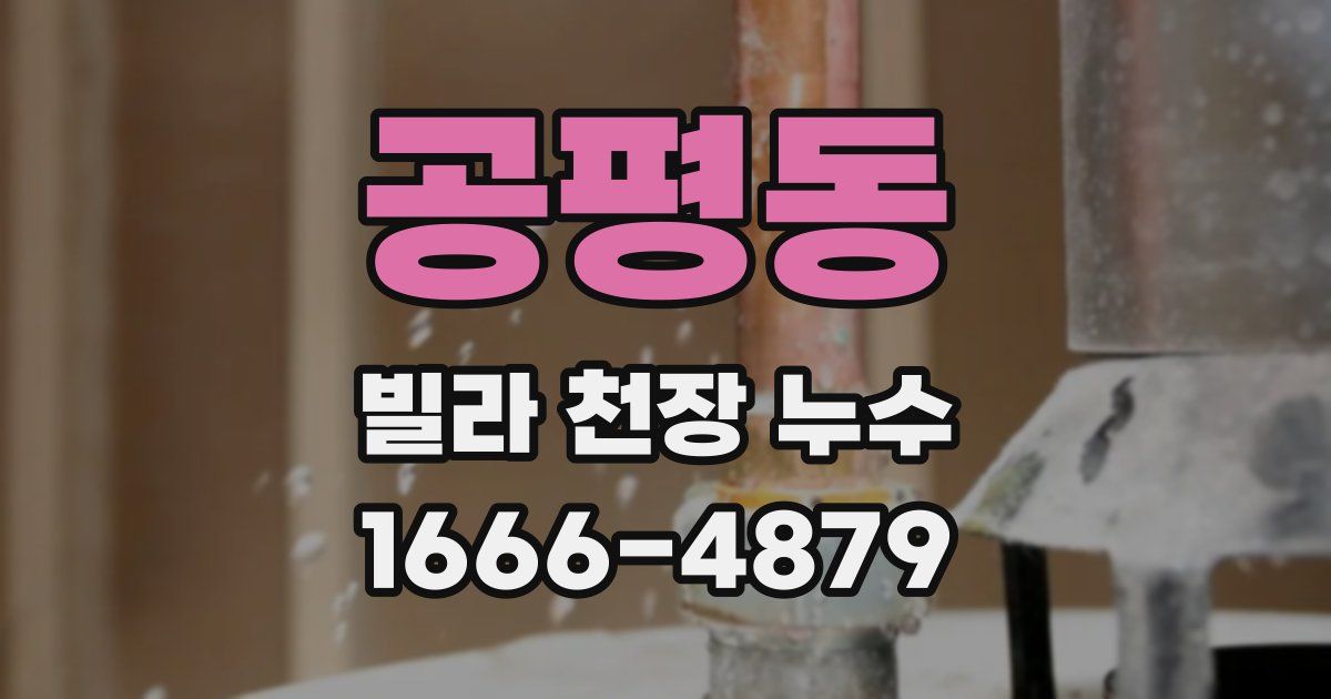 공평동 빌라 천장 누수