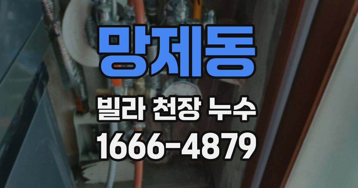 망제동 빌라 천장 누수