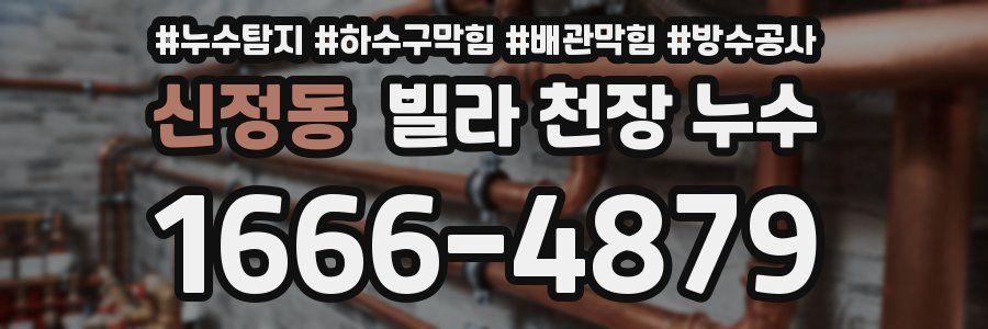 신정동 빌라 천장 누수