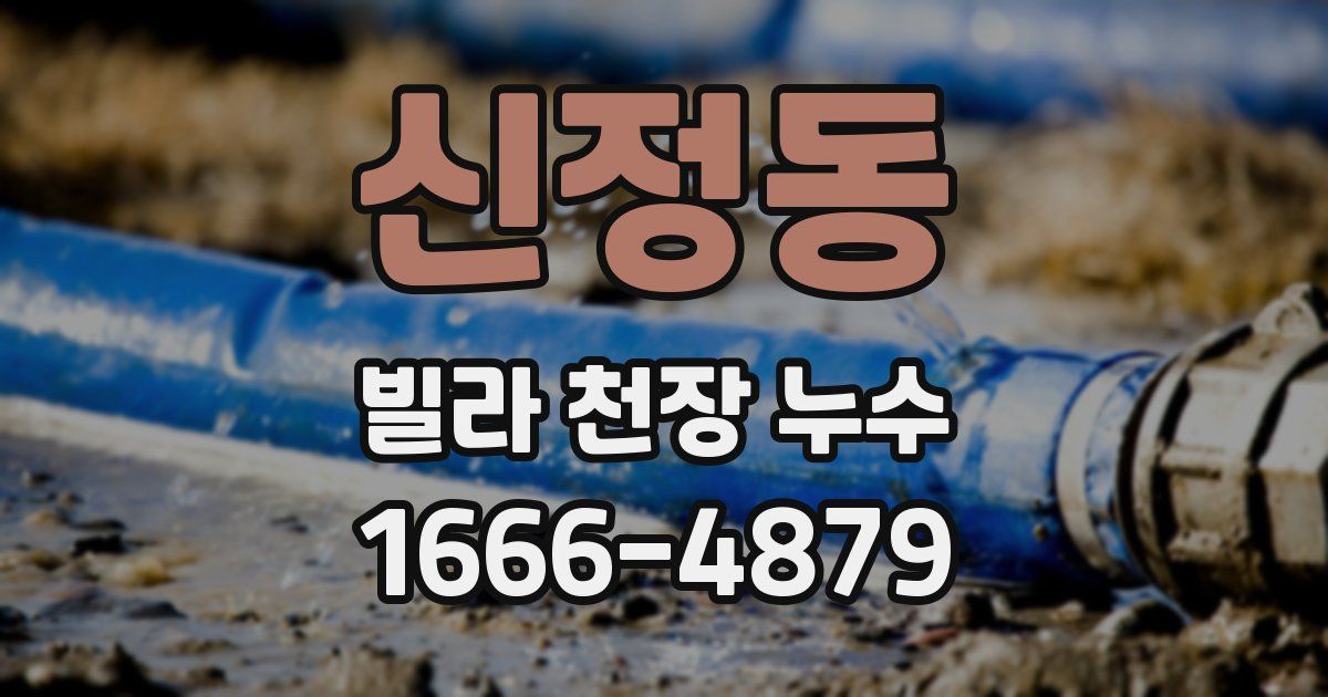 신정동 빌라 천장 누수
