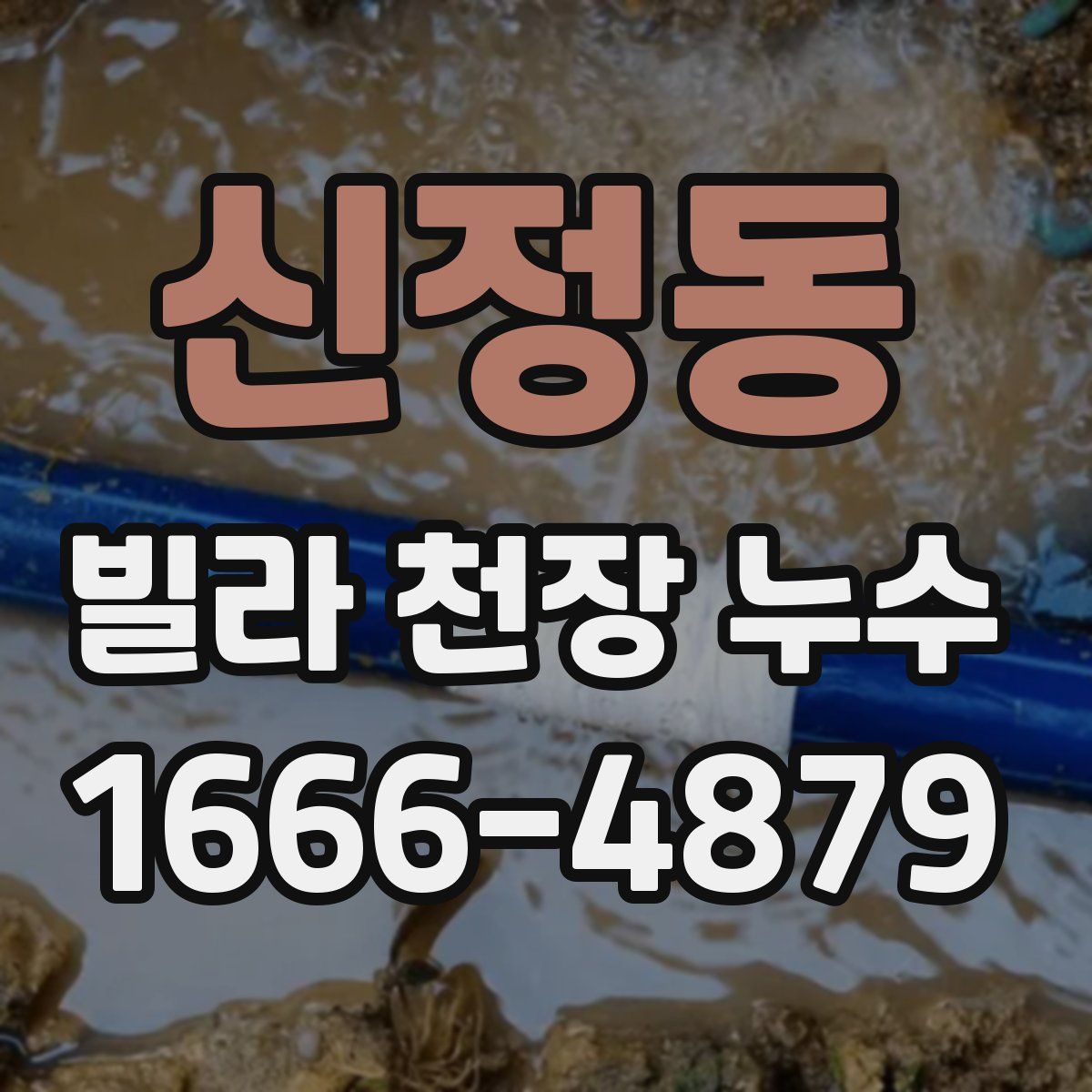 신정동 빌라 천장 누수