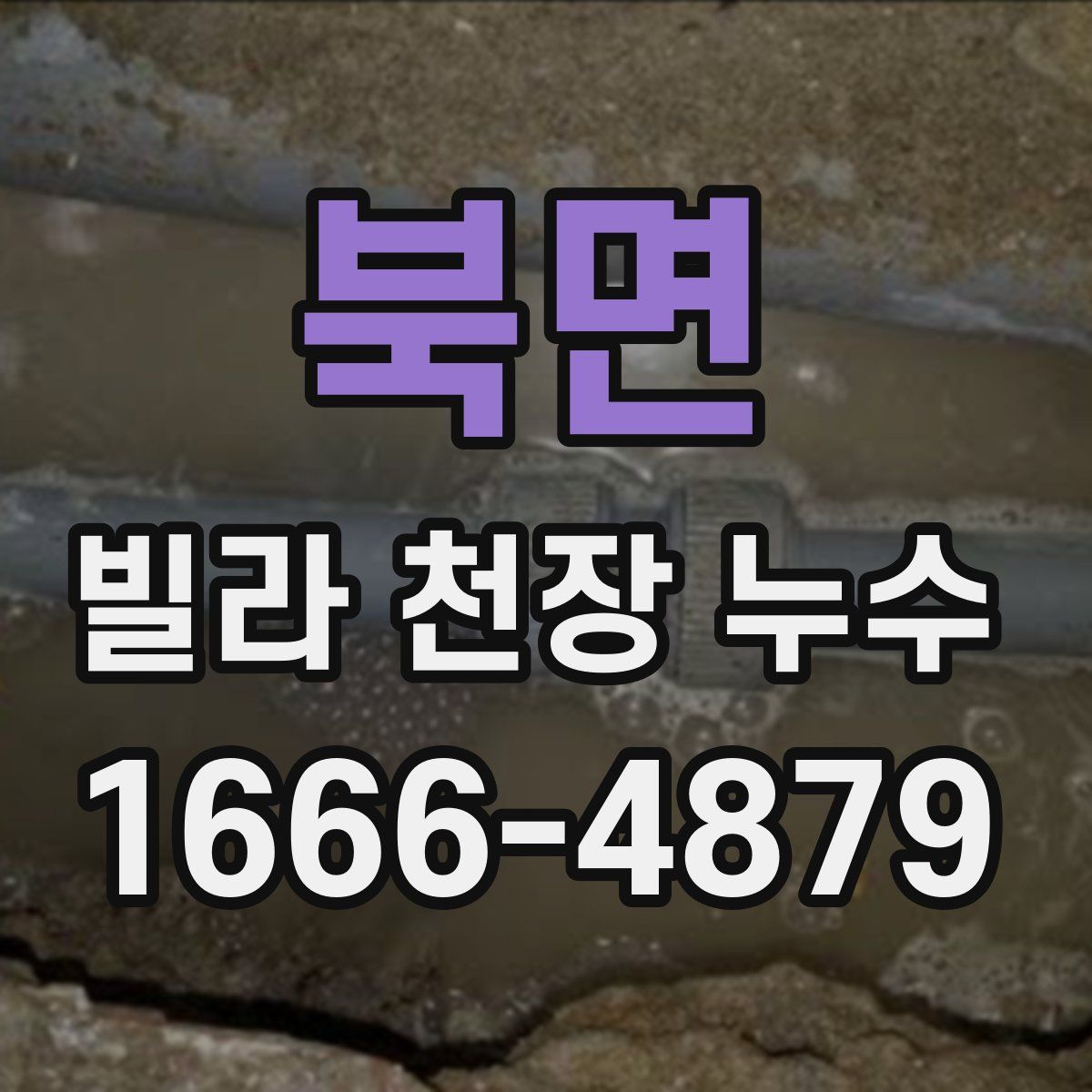 북면 빌라 천장 누수