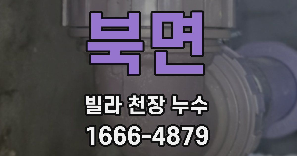 북면 빌라 천장 누수