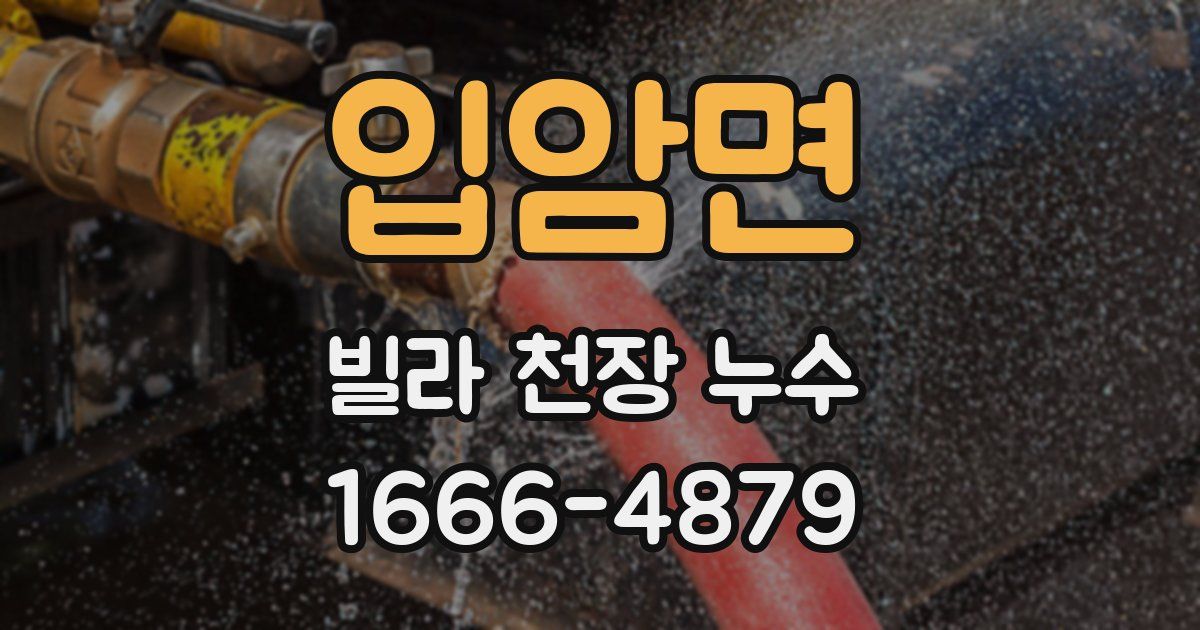 입암면 빌라 천장 누수