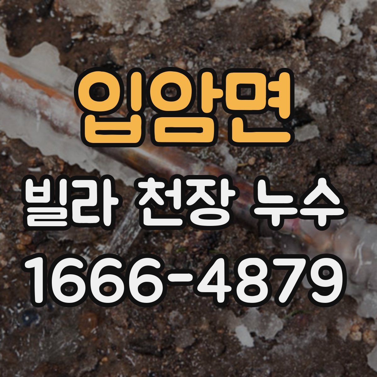 입암면 빌라 천장 누수