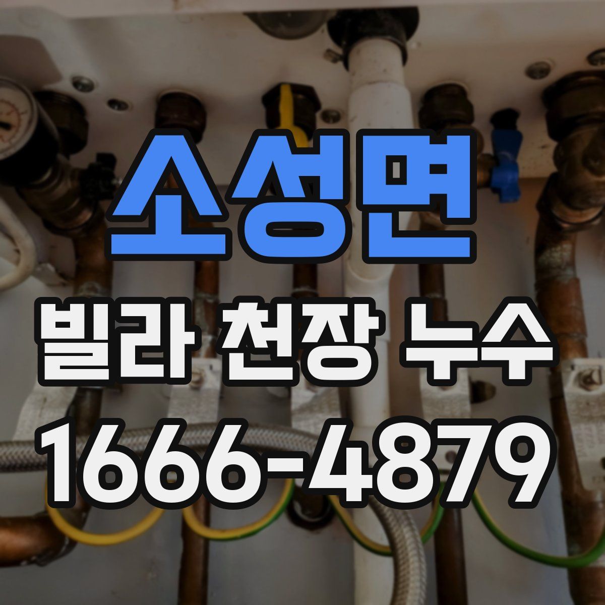 소성면 빌라 천장 누수