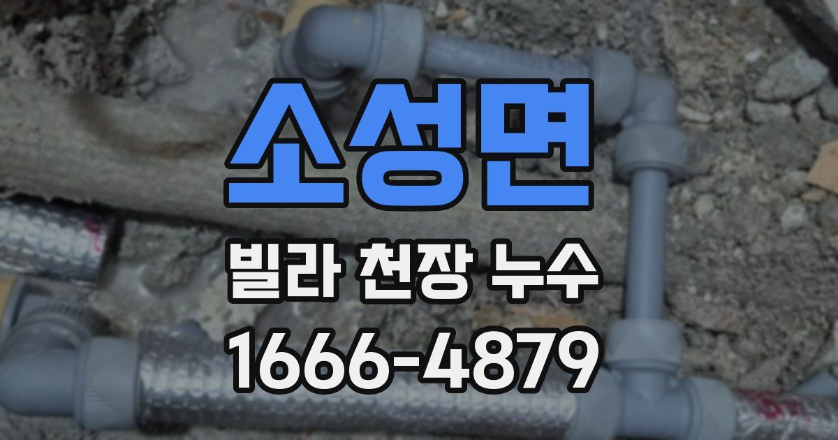 소성면 빌라 천장 누수