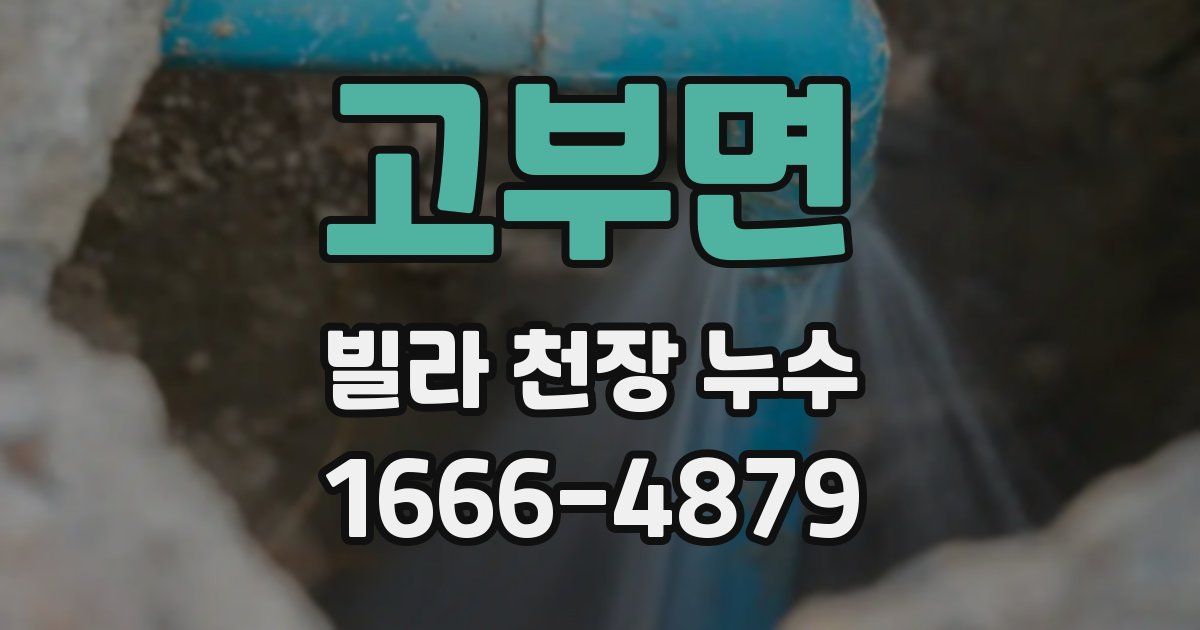 고부면 빌라 천장 누수