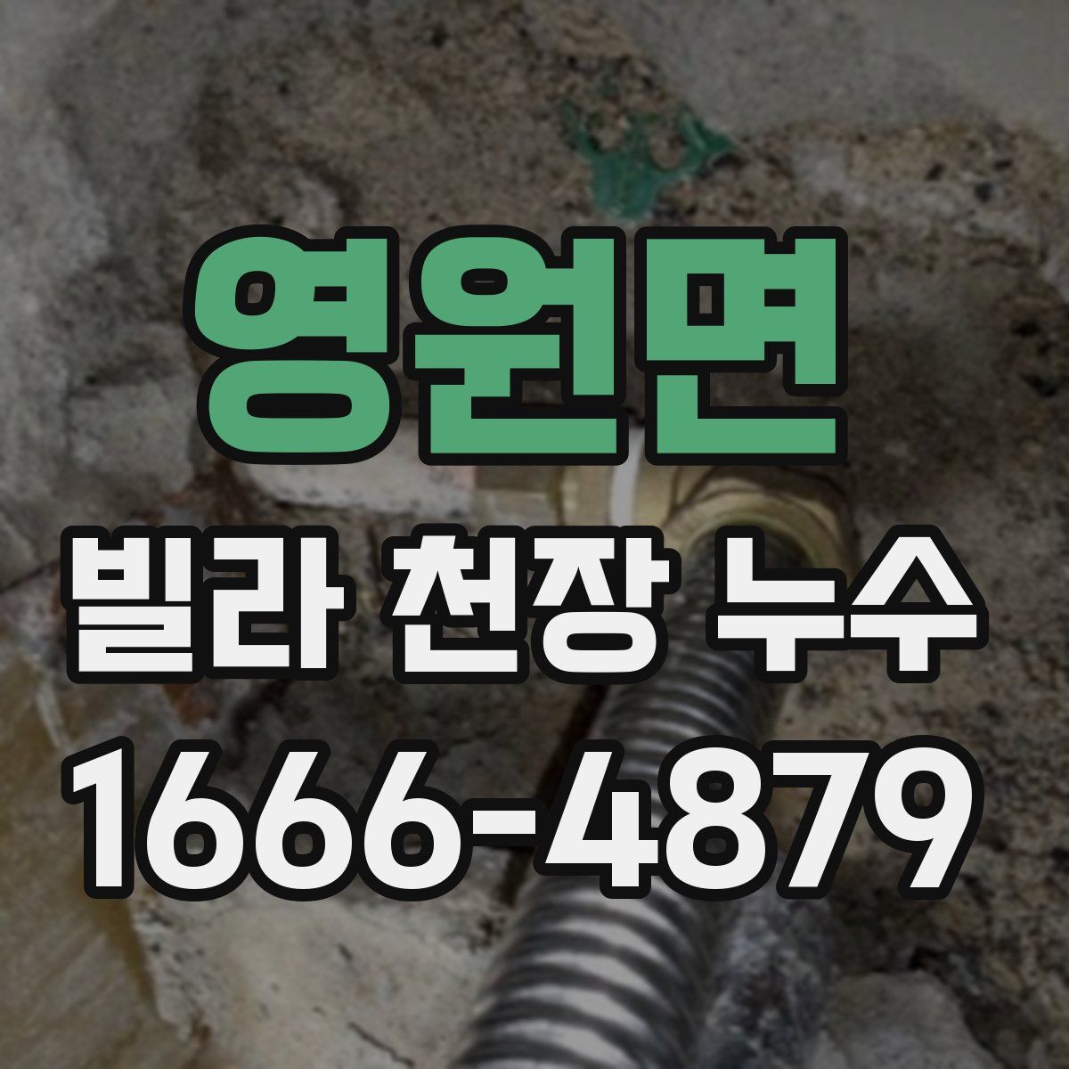 영원면 빌라 천장 누수