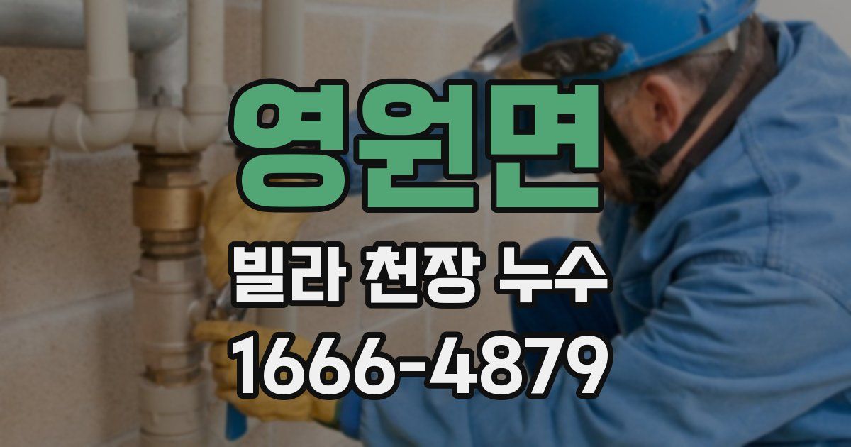 영원면 빌라 천장 누수