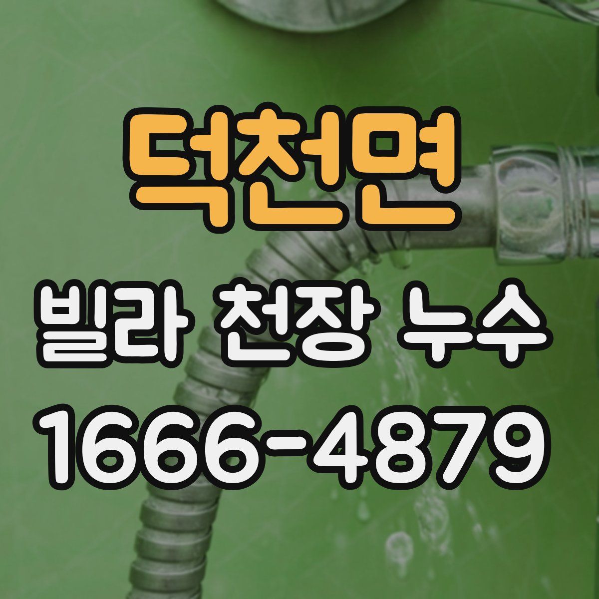 덕천면 빌라 천장 누수