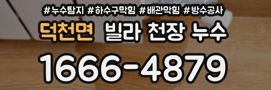 덕천면 빌라 천장 누수