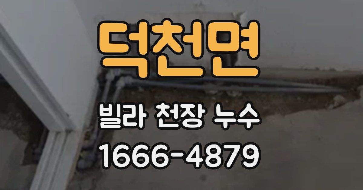 덕천면 빌라 천장 누수
