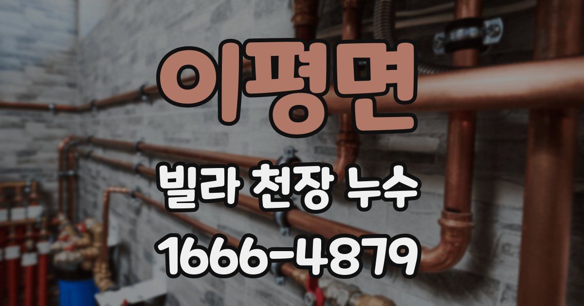 이평면 빌라 천장 누수