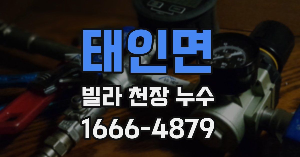 태인면 빌라 천장 누수