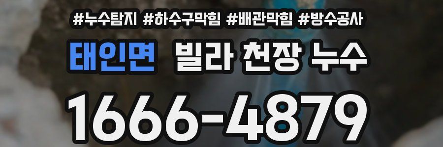 태인면 빌라 천장 누수