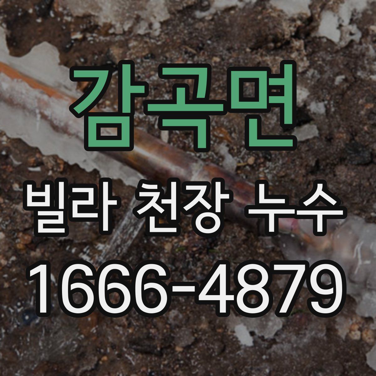 감곡면 빌라 천장 누수