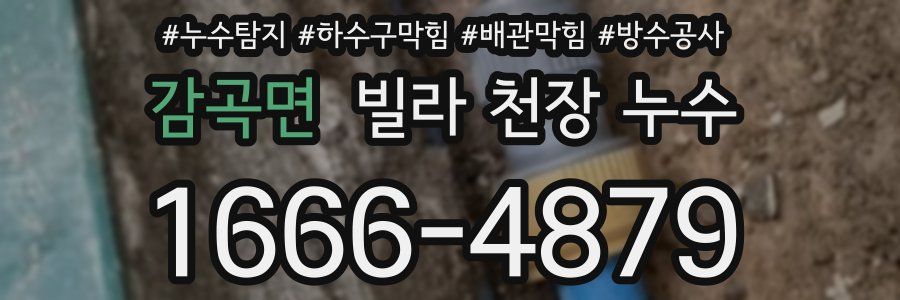 감곡면 빌라 천장 누수