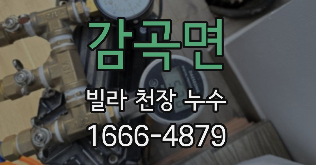 감곡면 빌라 천장 누수