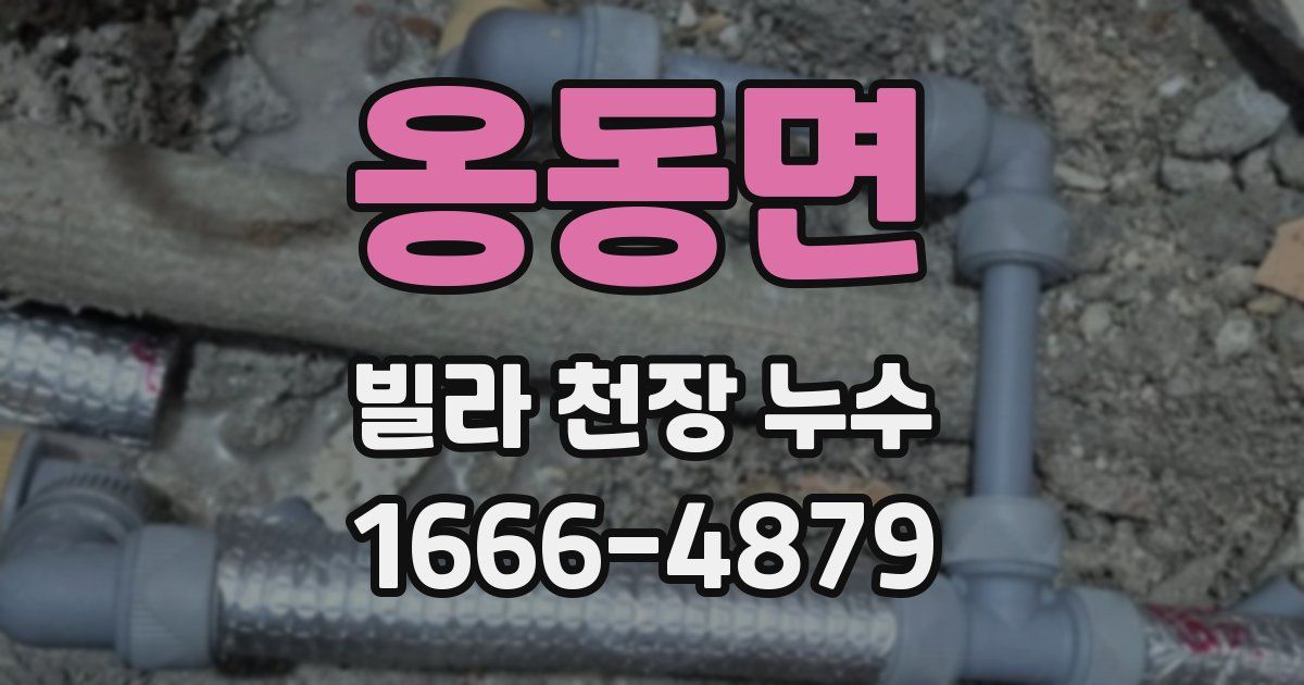 옹동면 빌라 천장 누수