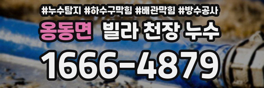 옹동면 빌라 천장 누수