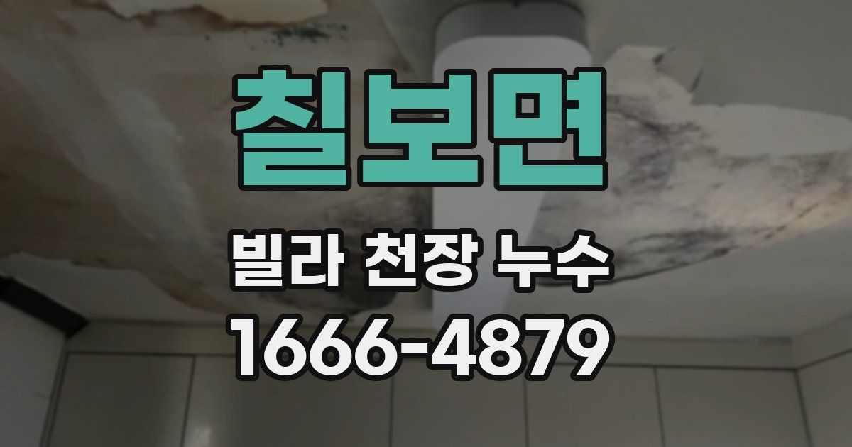 칠보면 빌라 천장 누수