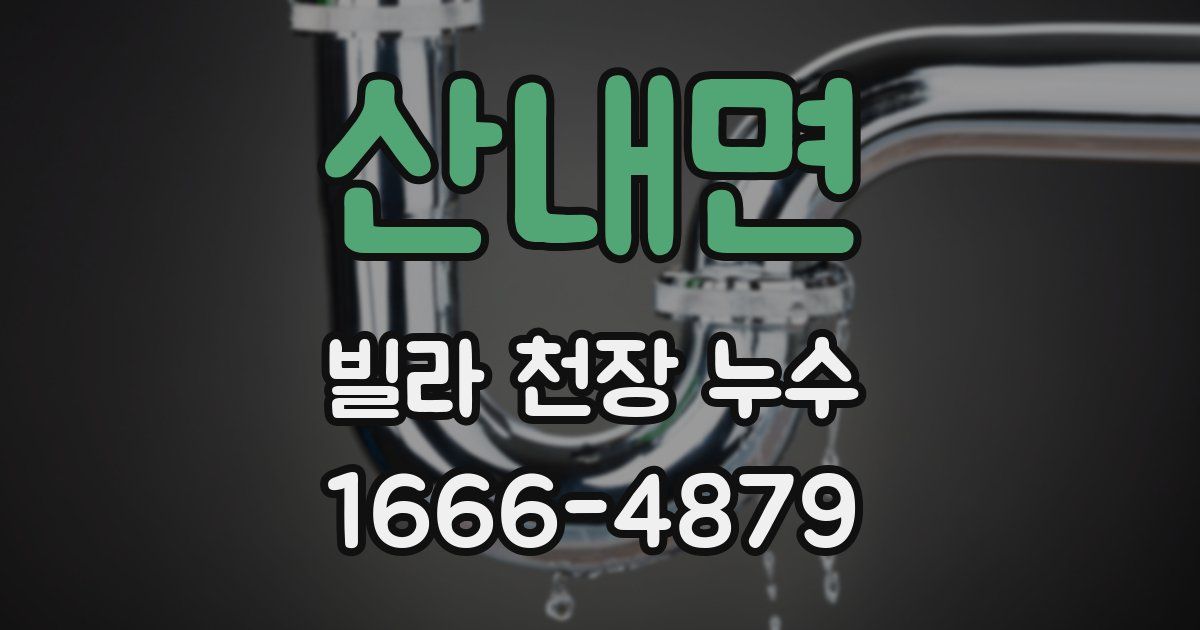 산내면 빌라 천장 누수