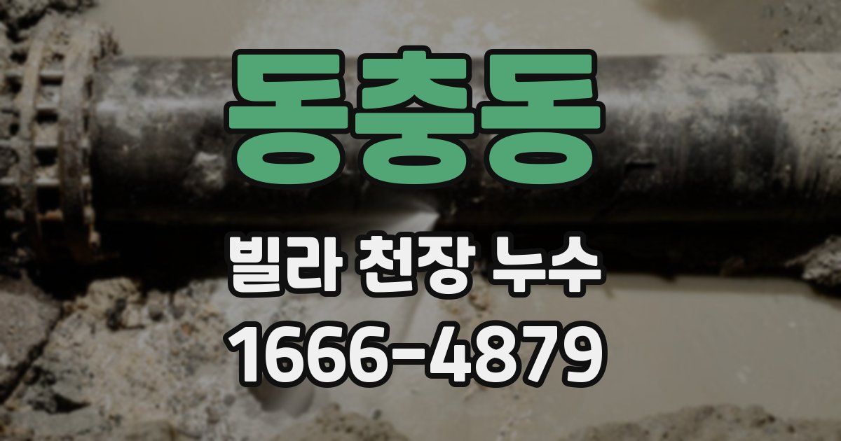 동충동 빌라 천장 누수