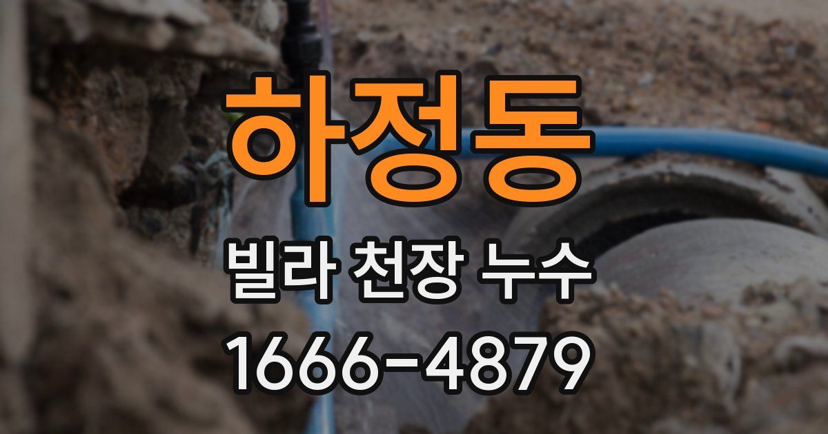 하정동 빌라 천장 누수