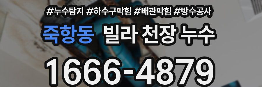 죽항동 빌라 천장 누수