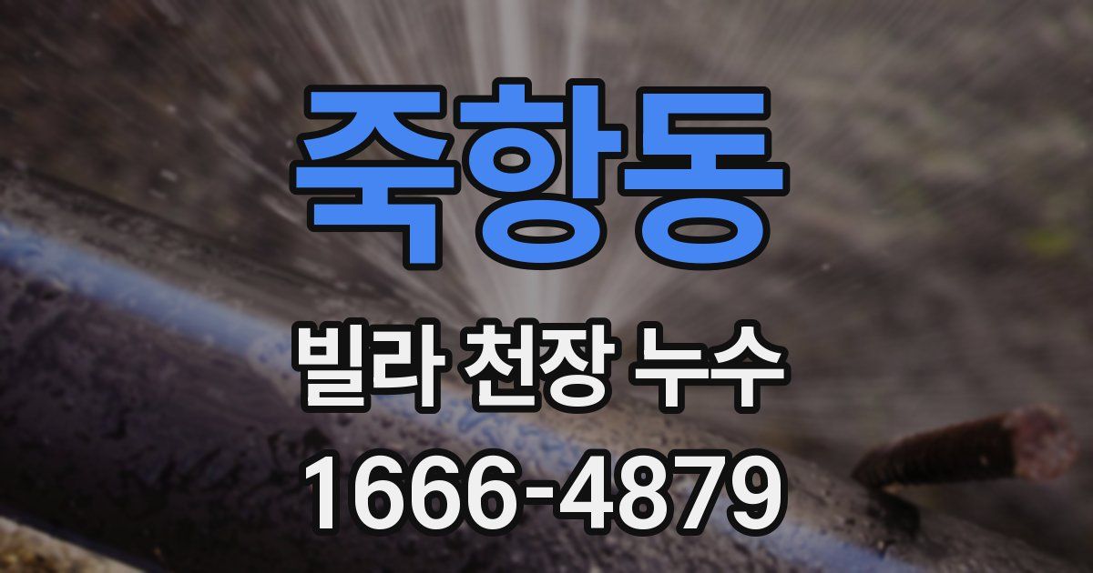 죽항동 빌라 천장 누수