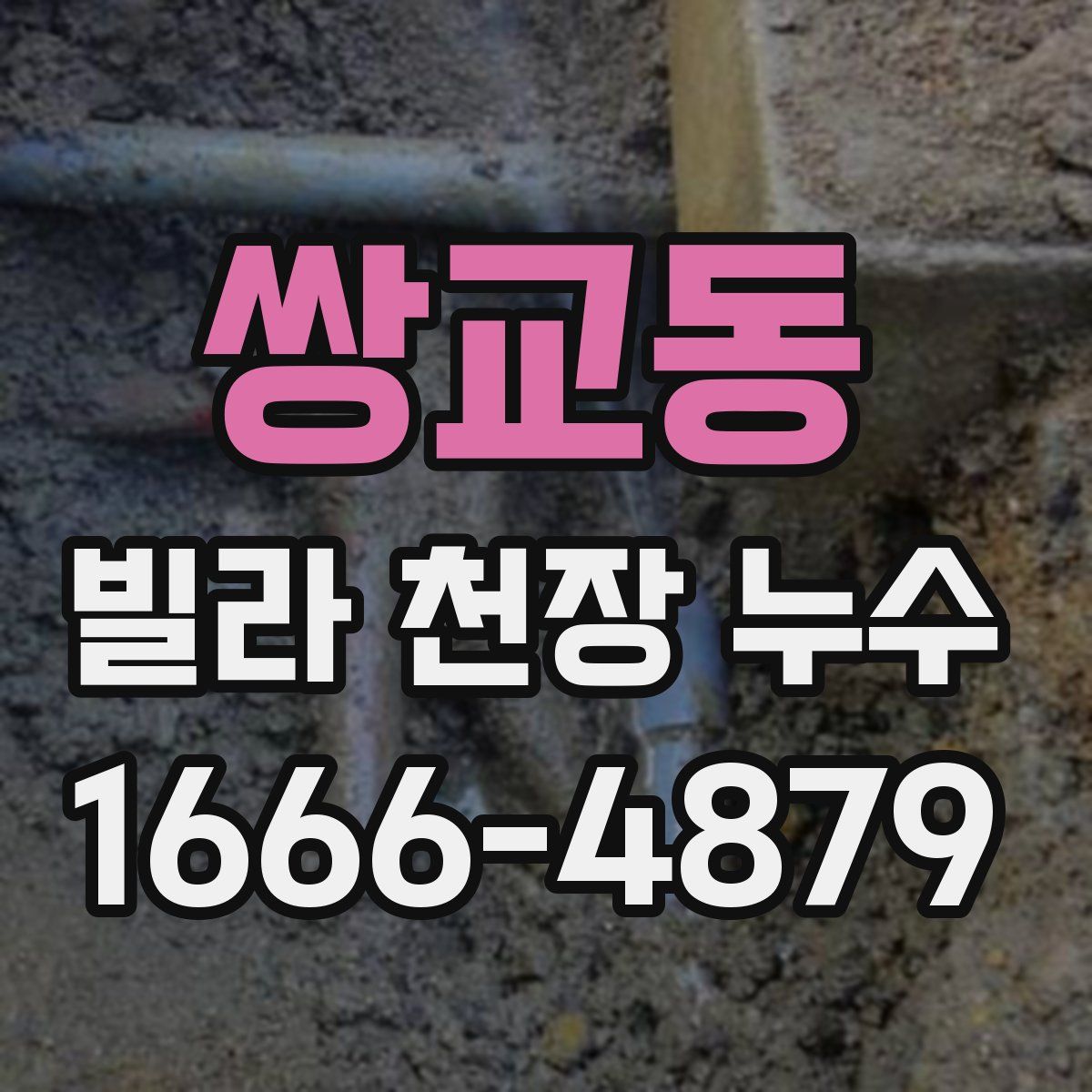 쌍교동 빌라 천장 누수