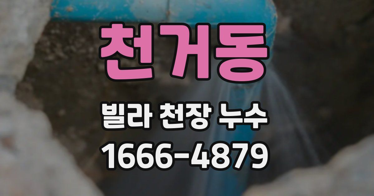 천거동 빌라 천장 누수