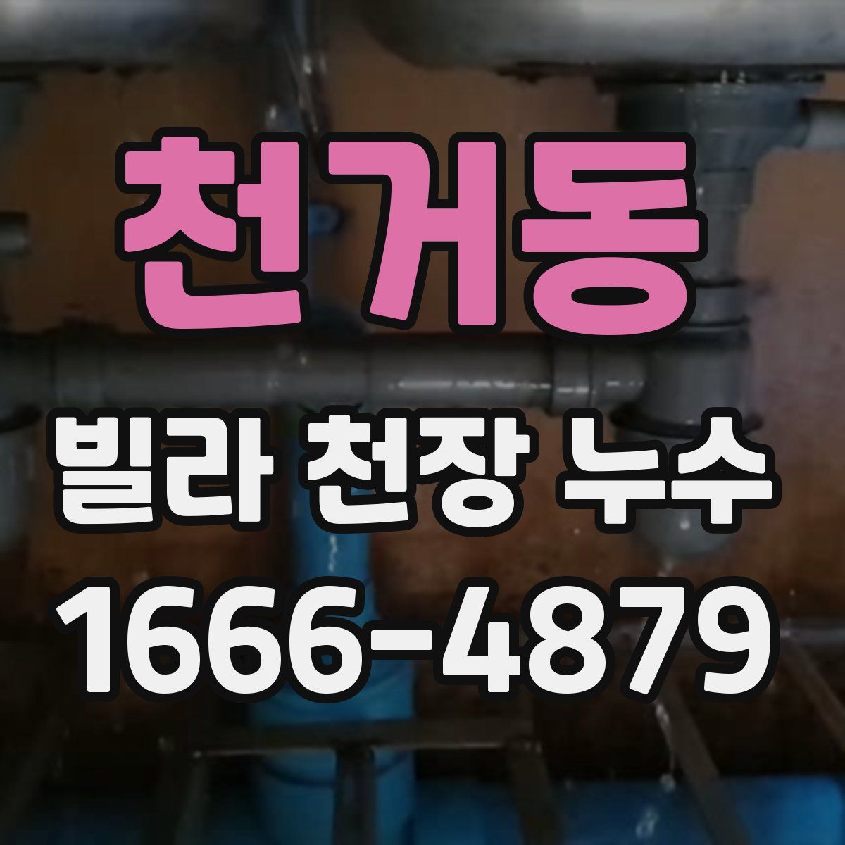 천거동 빌라 천장 누수