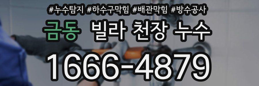 금동 빌라 천장 누수