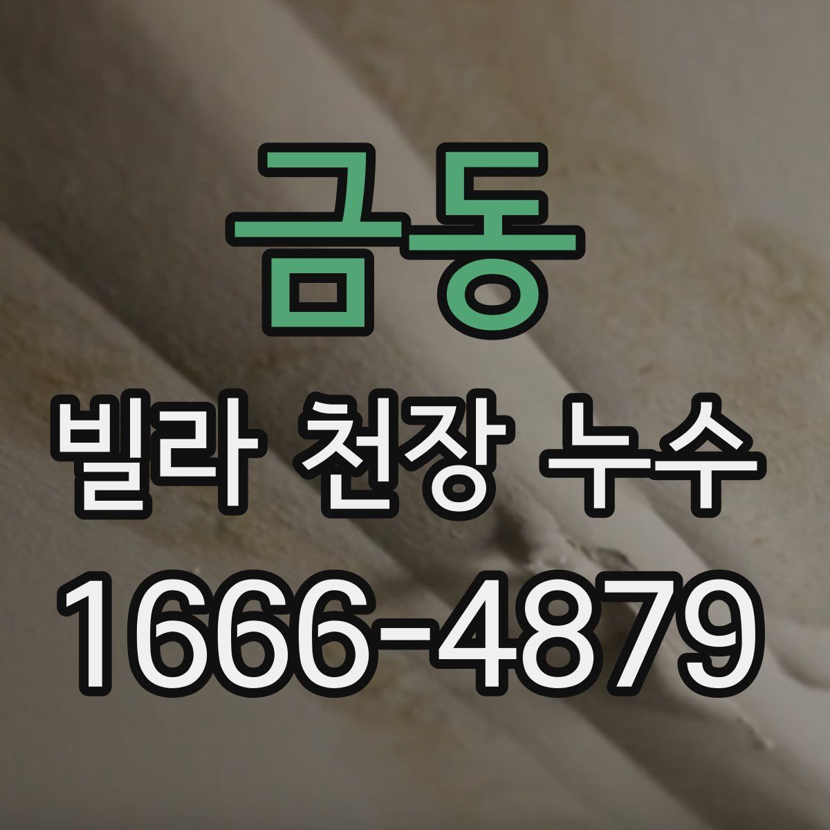 금동 빌라 천장 누수