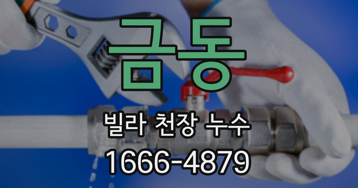금동 빌라 천장 누수