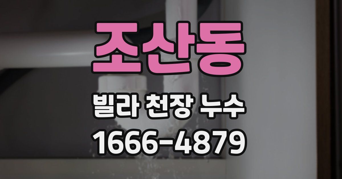 조산동 빌라 천장 누수