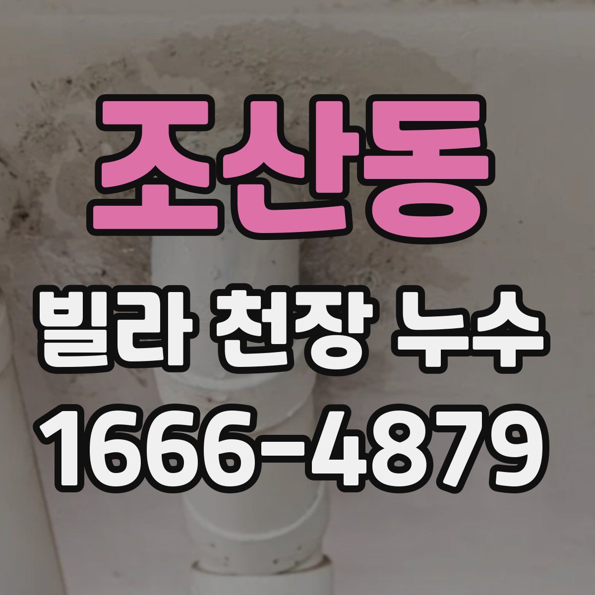 조산동 빌라 천장 누수