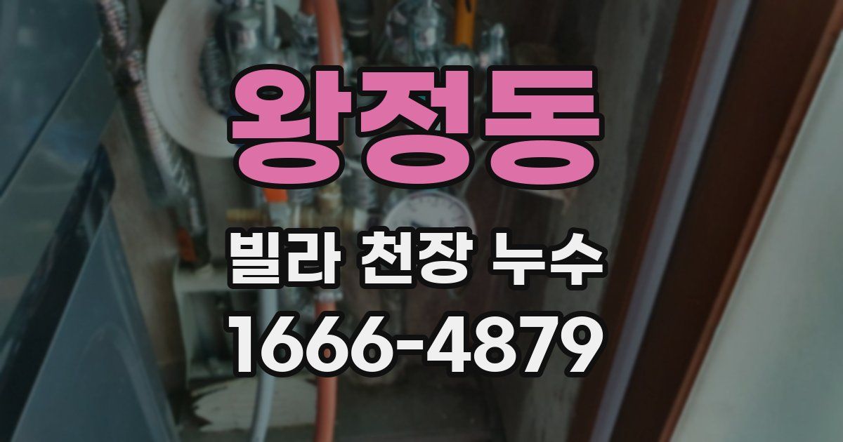 왕정동 빌라 천장 누수