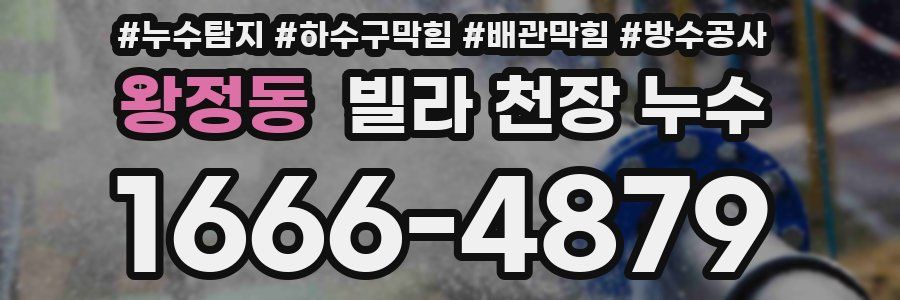 왕정동 빌라 천장 누수