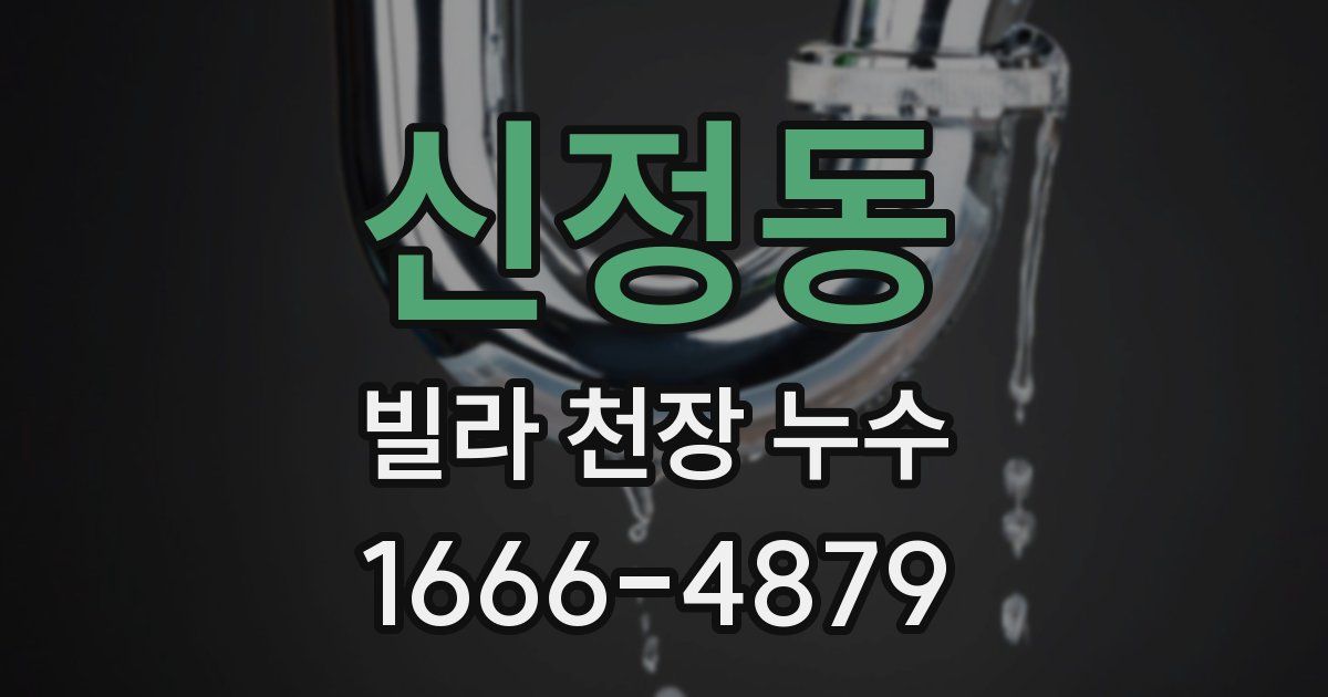 신정동 빌라 천장 누수
