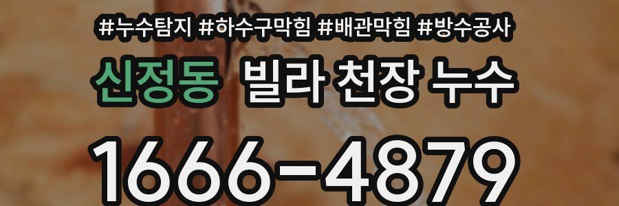 신정동 빌라 천장 누수